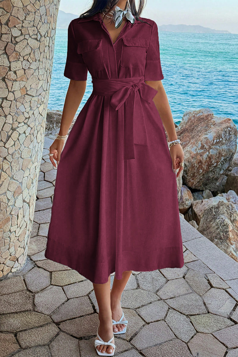 Solid Pocket Turn Down Collar A Line Dress