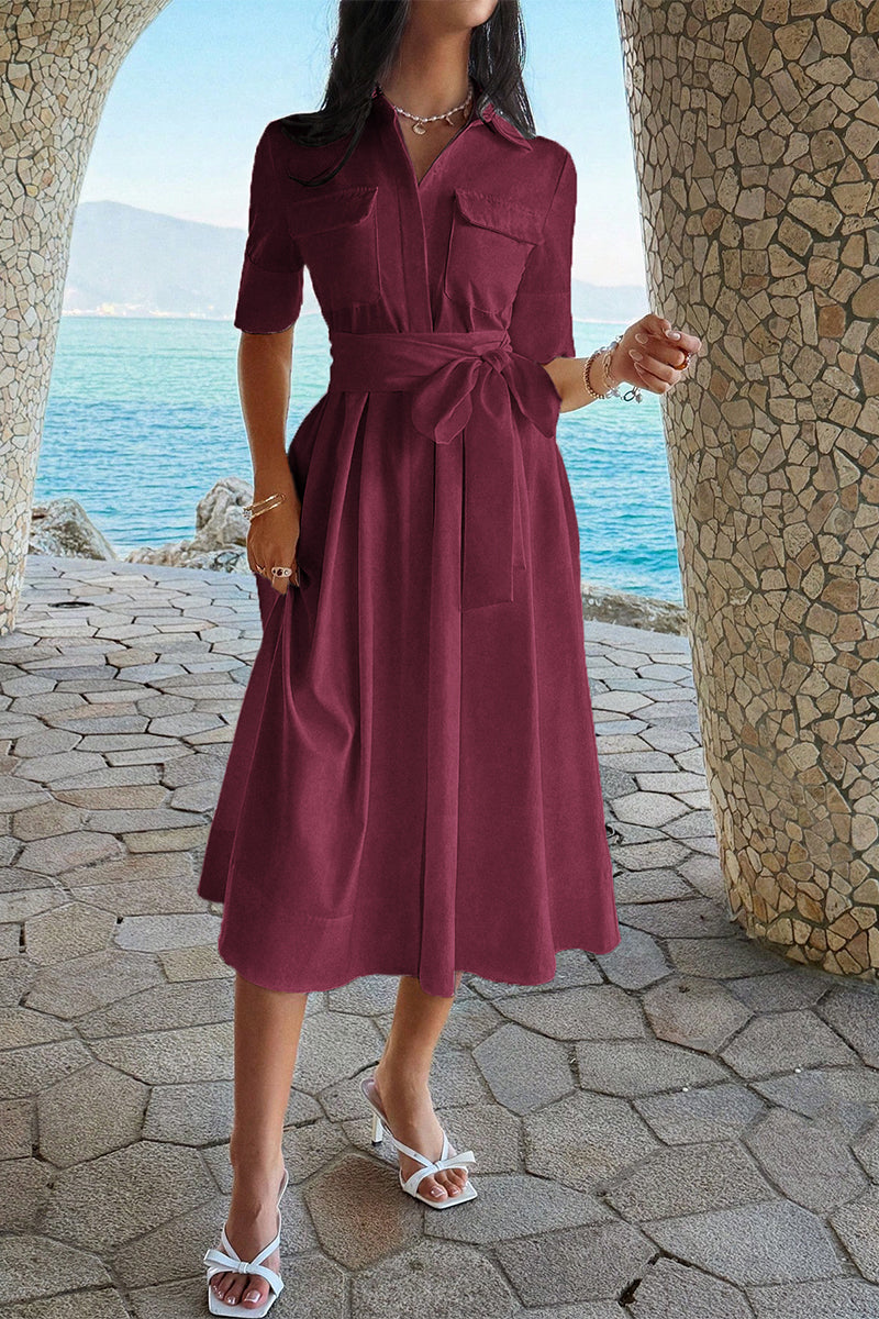 Solid Pocket Turn Down Collar A Line Dress